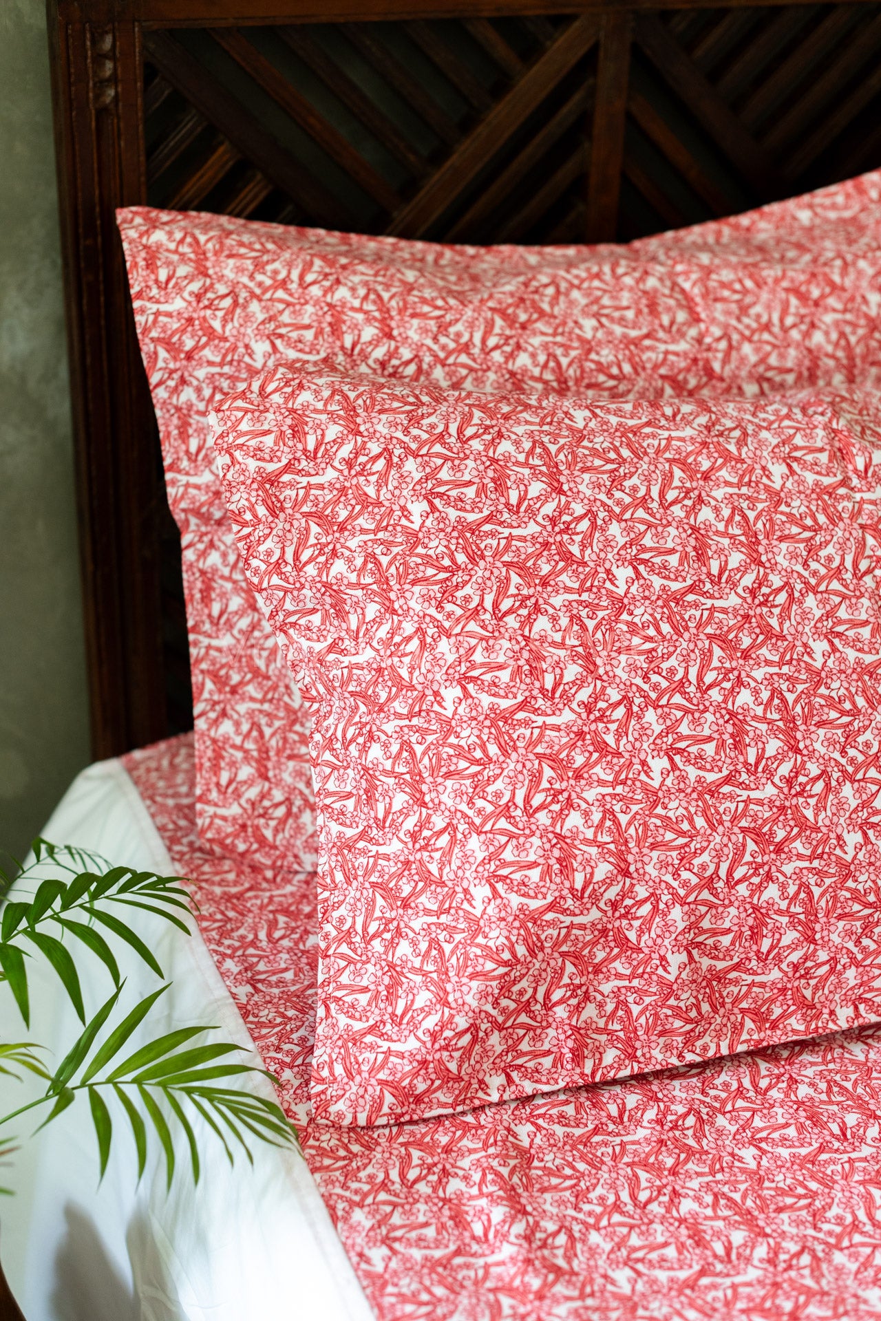 COTTON PRINTED BEDSHEET WITH PLAIN BORDER-King size