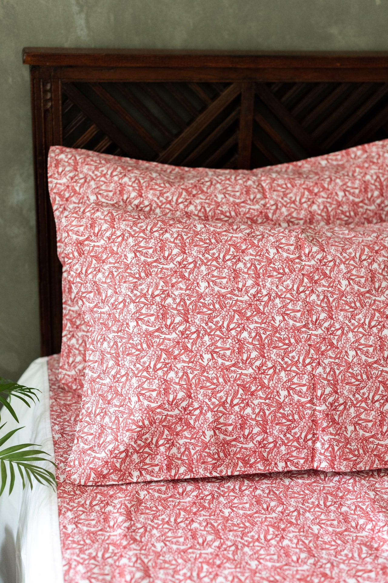 COTTON PRINTED BEDSHEET WITH PLAIN BORDER-King size