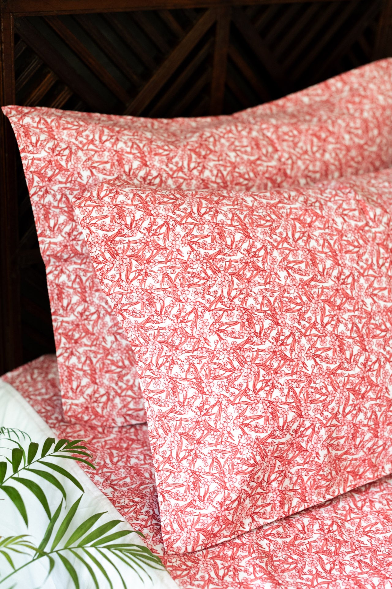 COTTON PRINTED BEDSHEET WITH PLAIN BORDER-King size