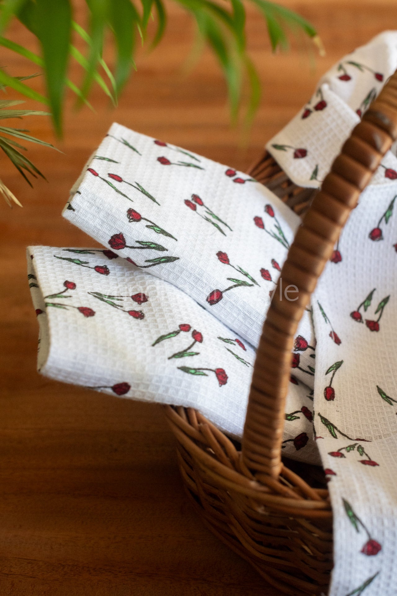 Evas Rupaul All Stars Season Stream 2025 RuPaul's Drag Race LIVE