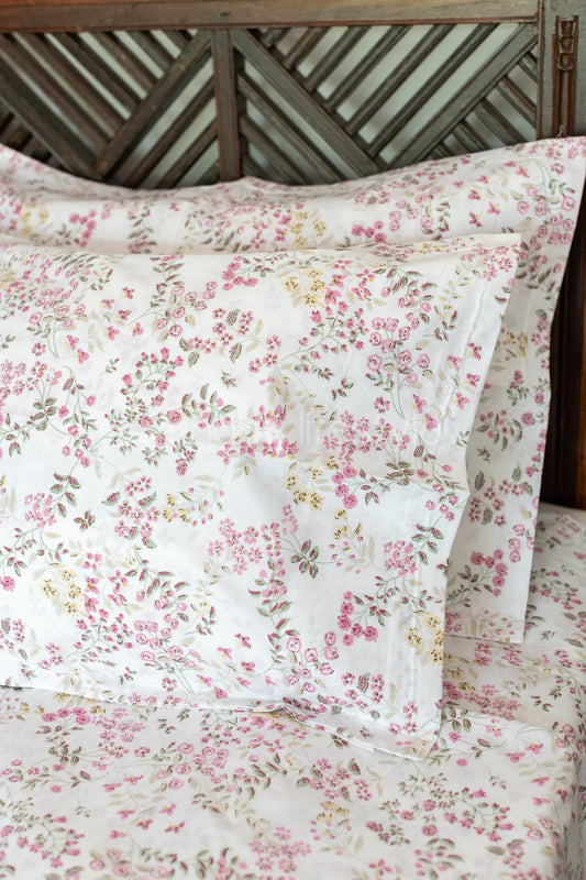 Printed percale cotton bedsheet -400 TC-Super King