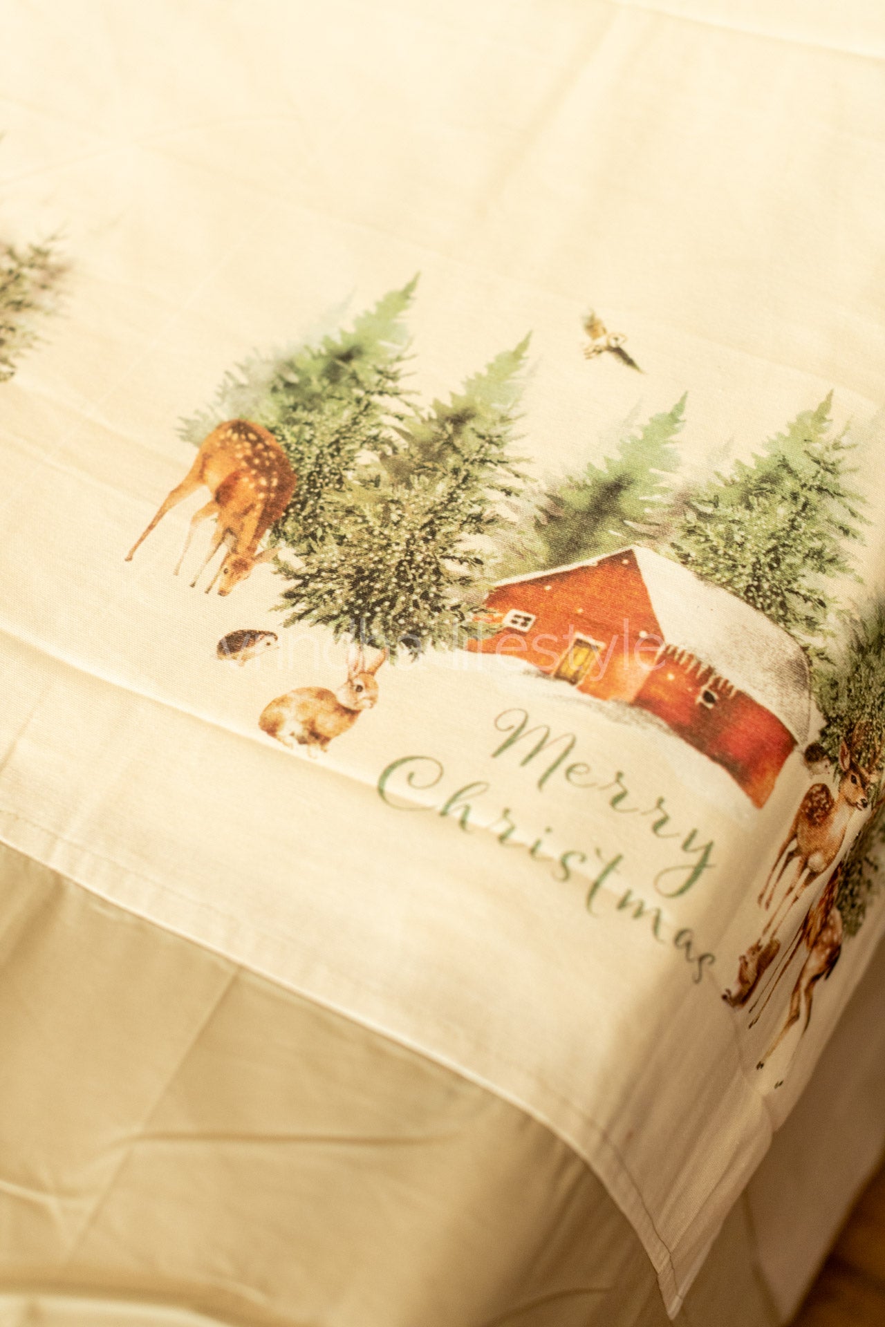 COTTON PRINTED BEDSHEET WITH PLAIN BORDER-queen size