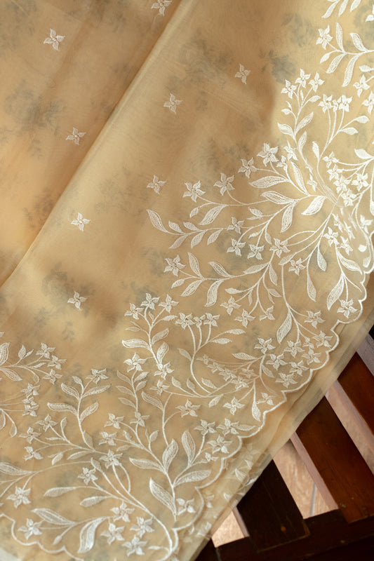 Embroidered semi organza saree